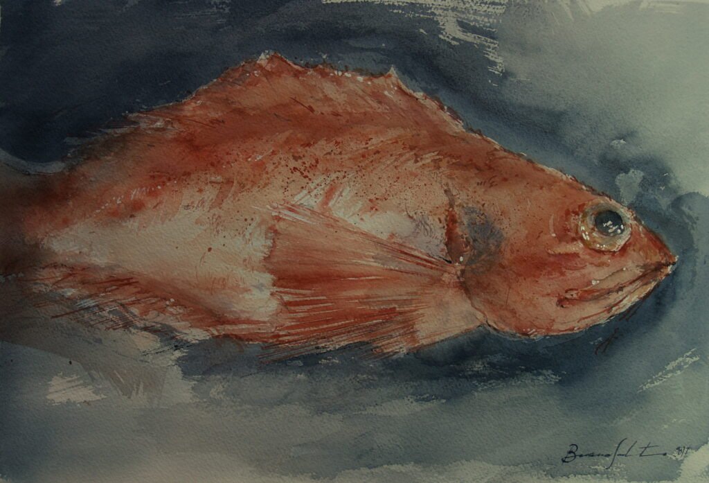 Salmonete